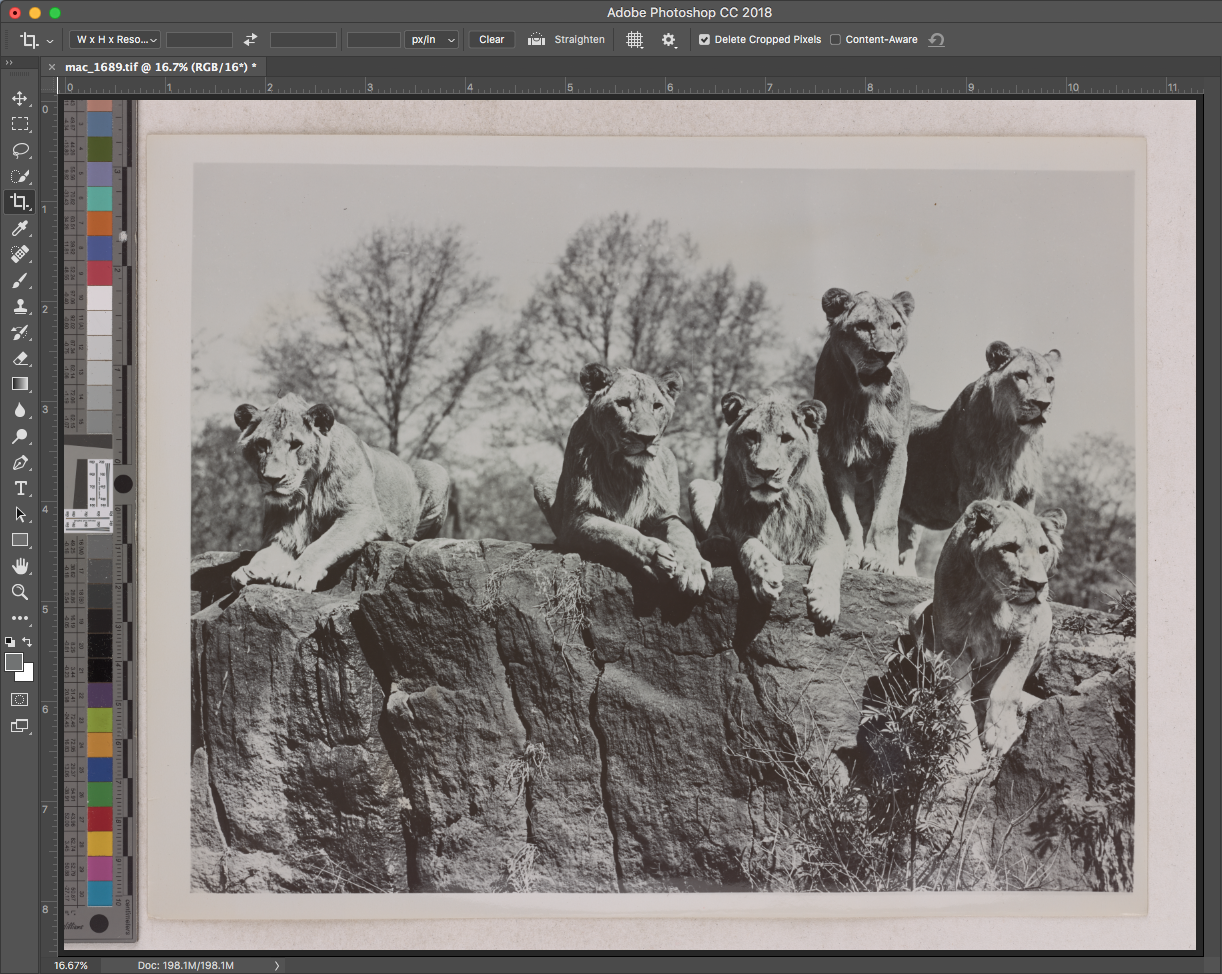 The archival master file viewed in Photoshop
