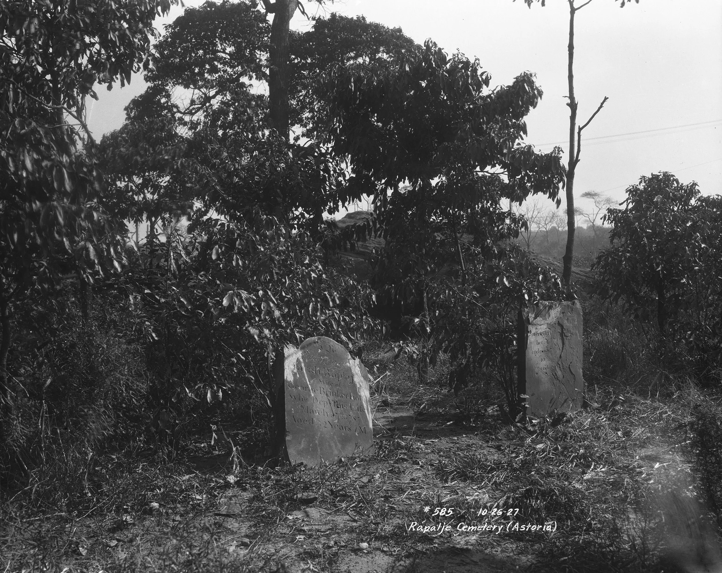 Rapalje Cemetery, Astoria, Queens, October 26, 1927. Borough President Queens Collection, NYC Municipal Archives.