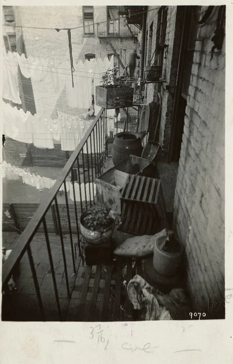 Municipal Archives Collection, Tenement House Department