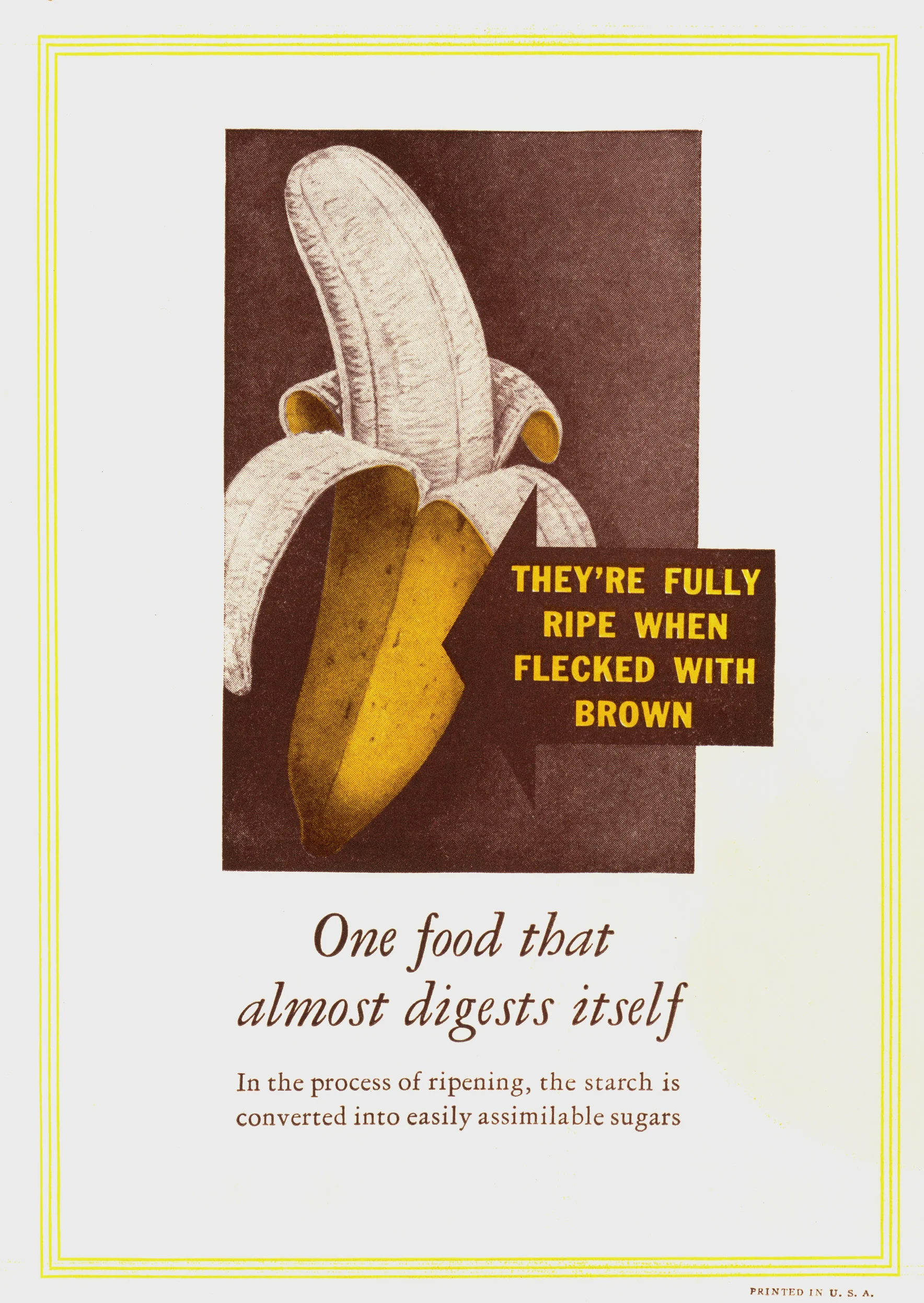 Answers to questions frequently asked about Bananas , United Fruit Company, ca. 1940. WPA Federal Writers’ Project collection, NYC Municipal Archives.