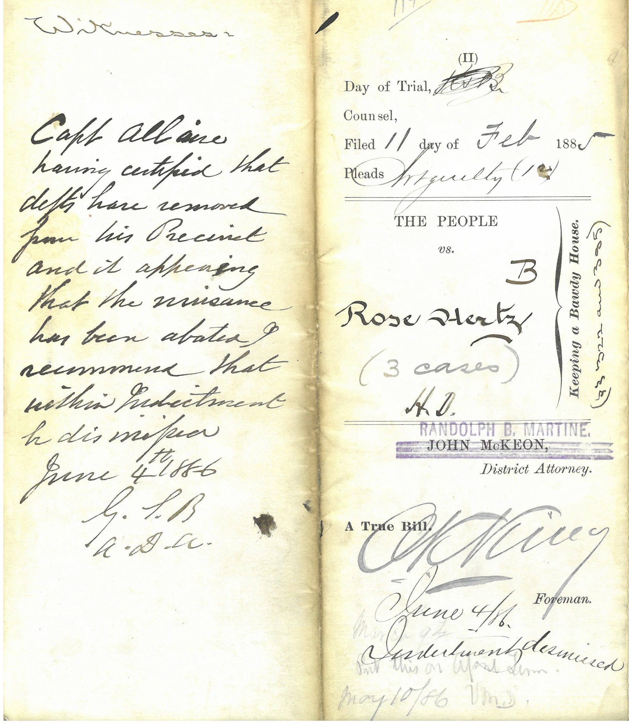cropped Indictment - Rose Hertz 11 Feb 1885 - Ct. of Gen. Sessions Box 166 f. 1694.jpg