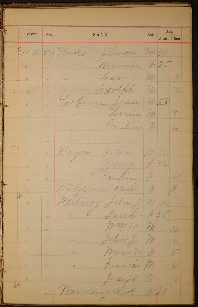 The 1890 Police Census–Digitized — NYC Department of Records ...