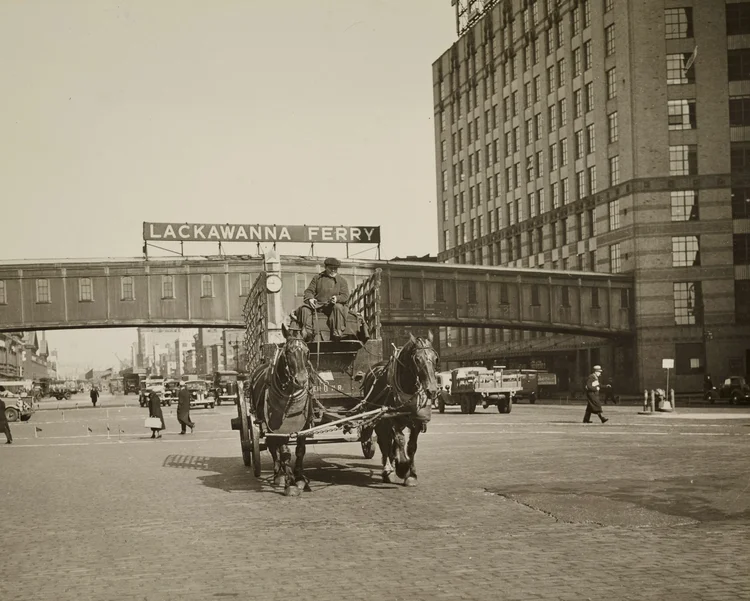 Horsepower: The City and the Horse NYC Department of Records