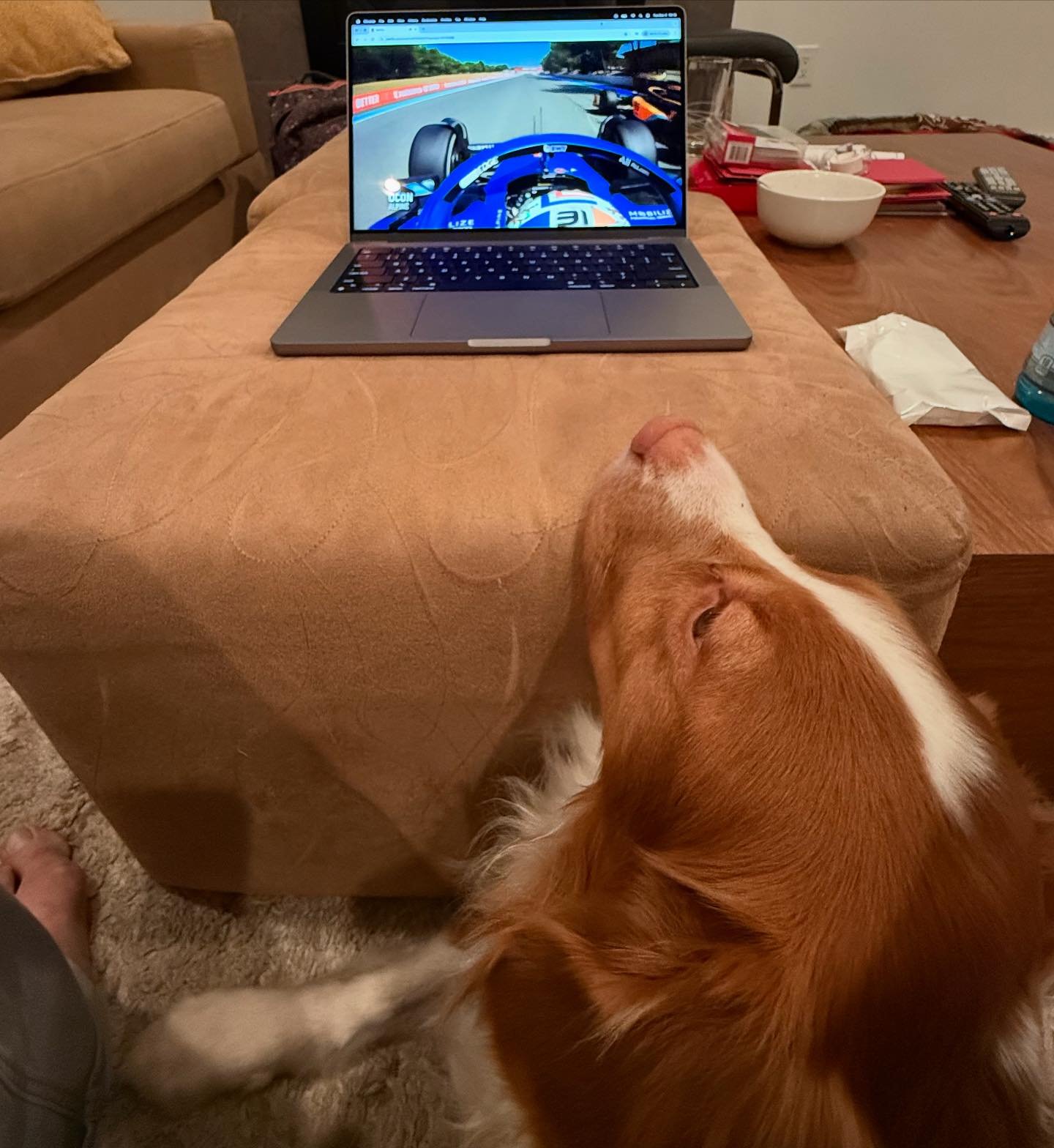 Here&rsquo;s a not-comics post for you. Watching #DriveToSurvive with my employee of the month (every month), Oz. 
#F1