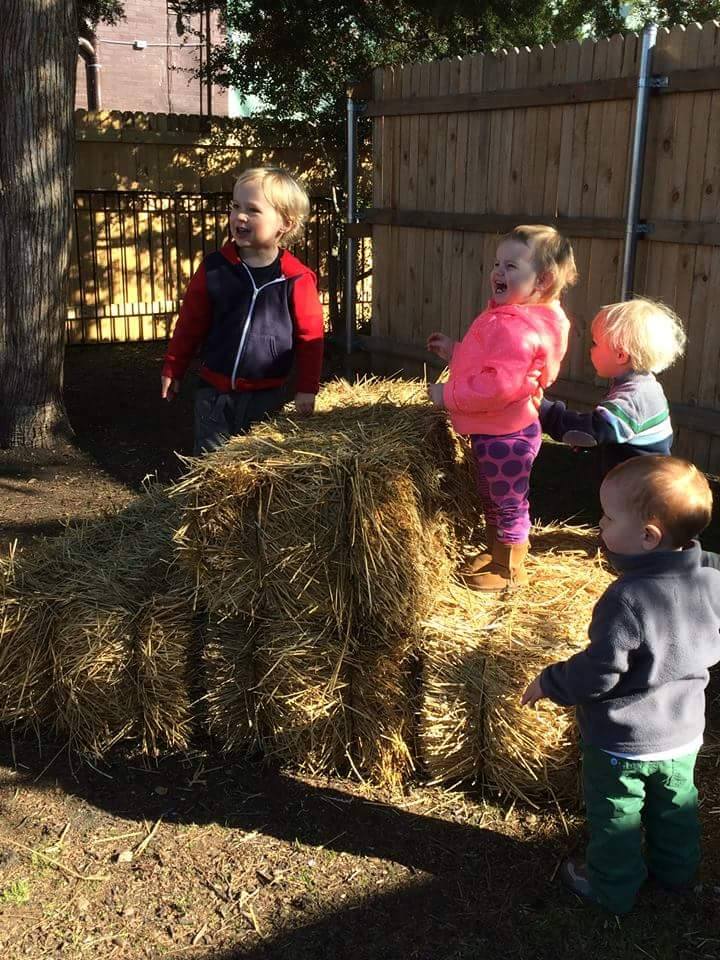 toddler hay.jpg