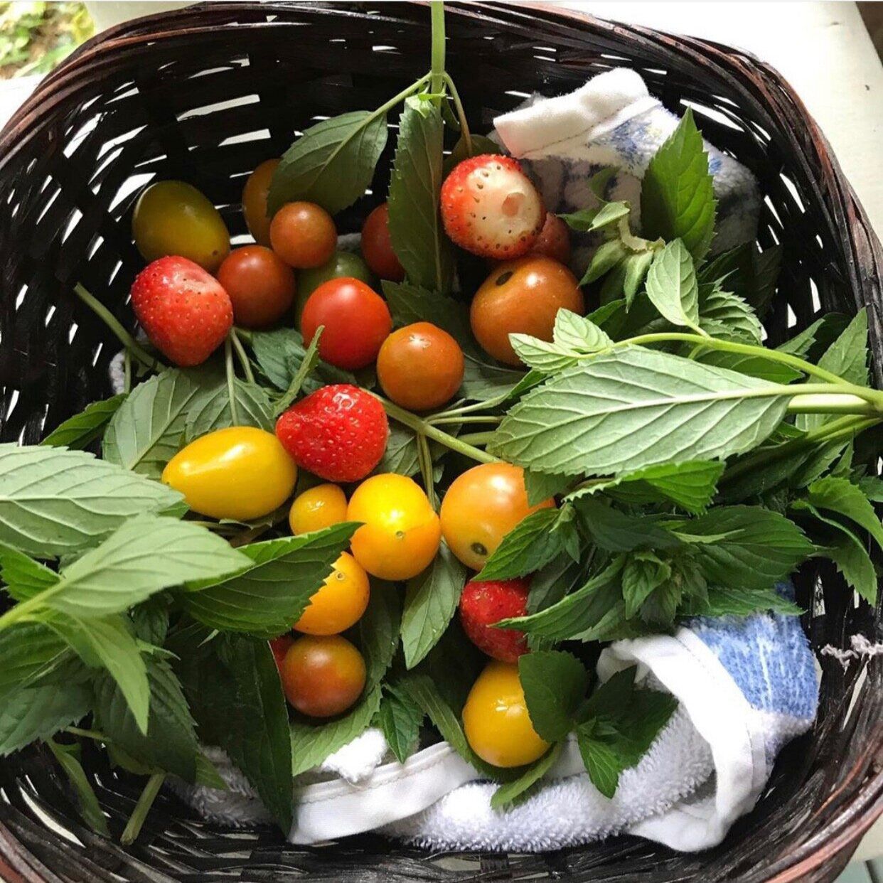 Our Garden Harvest