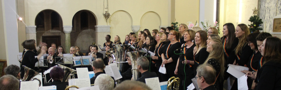 Performers in a 'Conert for Ann'