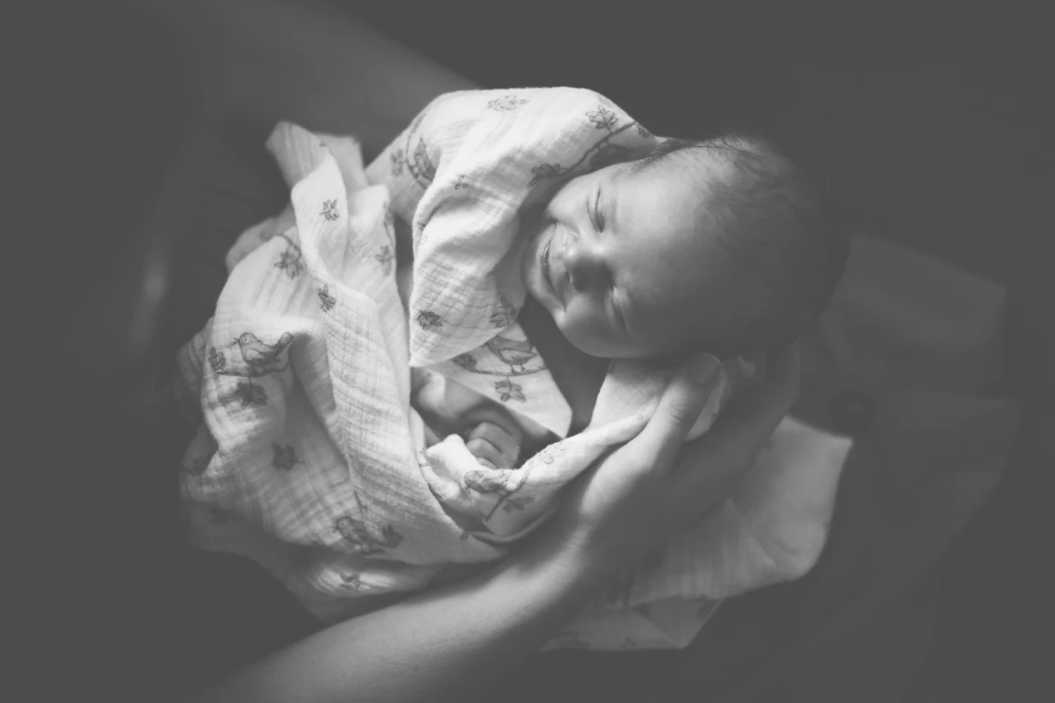 2019.07.01_AddicusBiscan_Newborn-15.jpg
