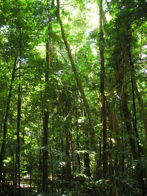 image7.jpeg