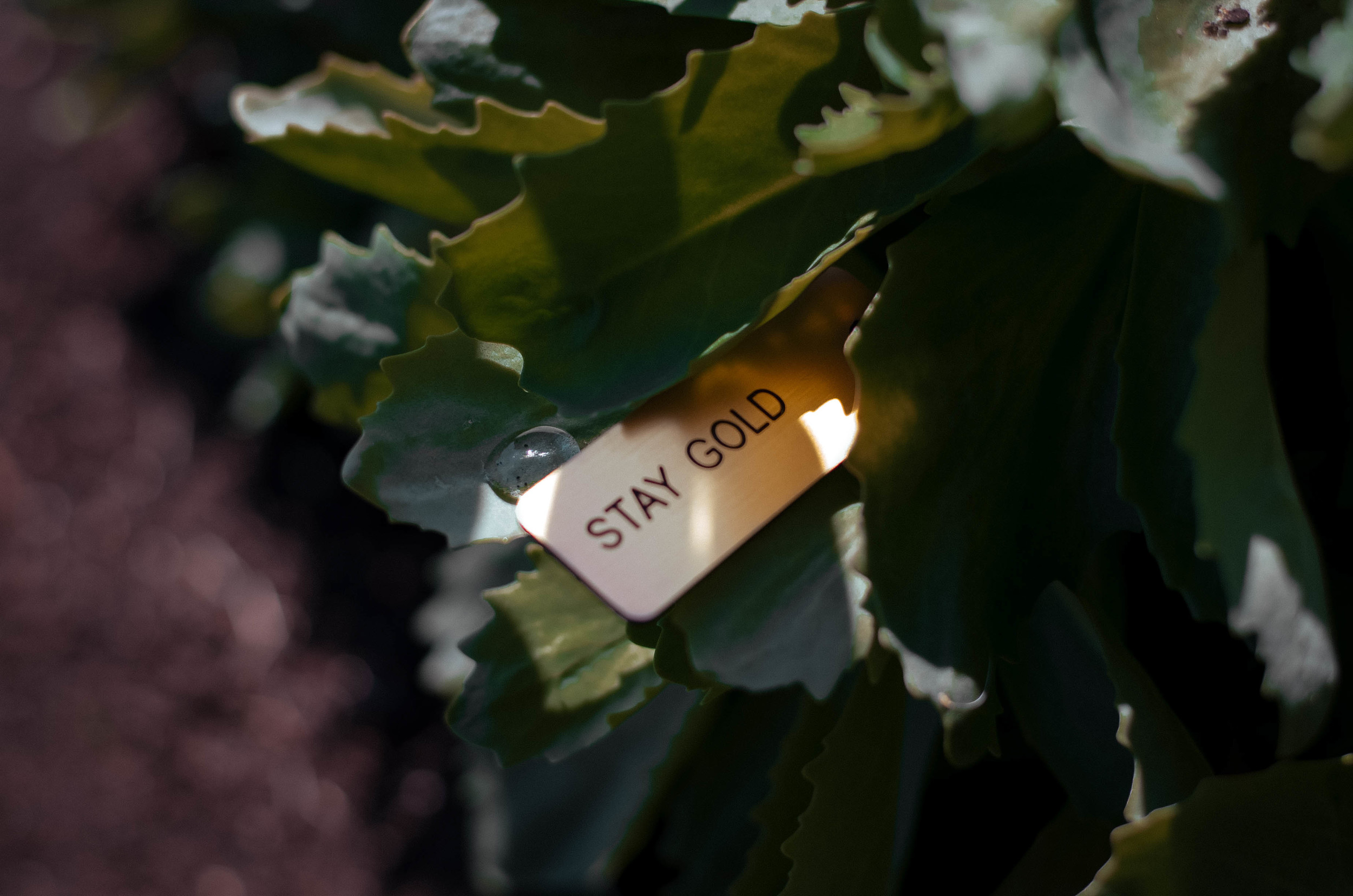 Stay Gold Keytag. Photo by Britany Powell . 