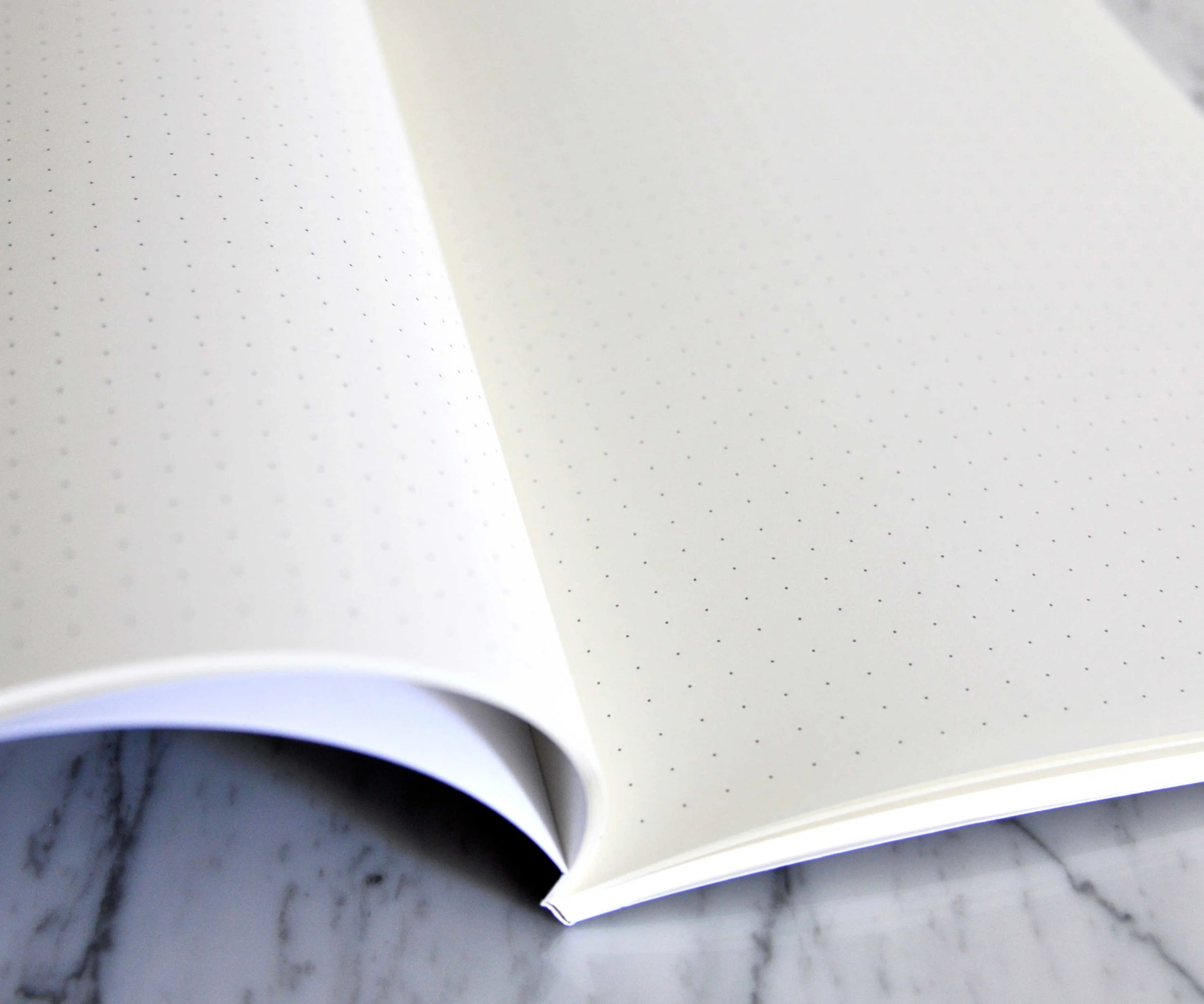 Detail of dot grid pages ready to be filled with big ideas. By Swell Made Co.