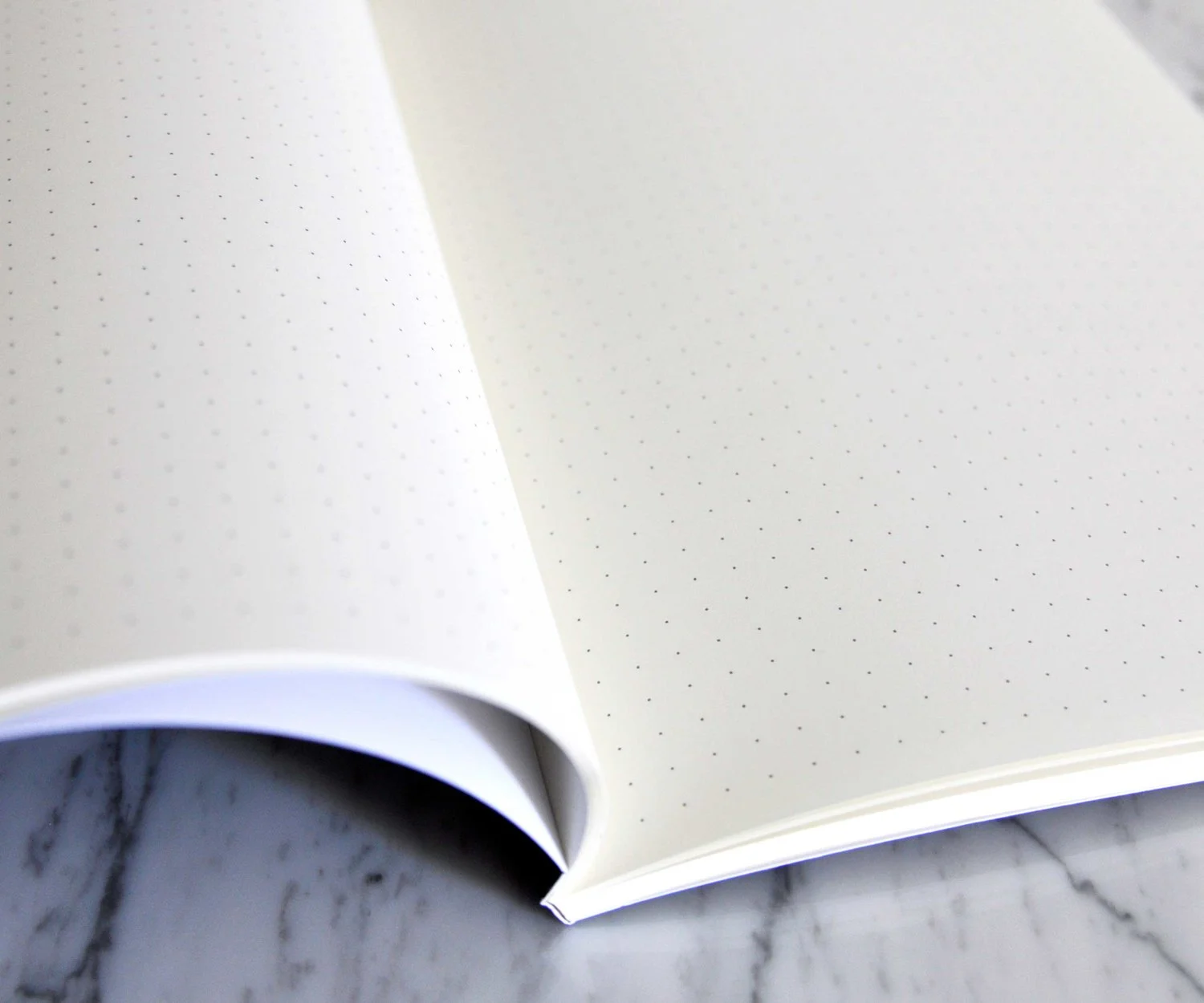 swell-made-co-dot-grid-journal.jpg