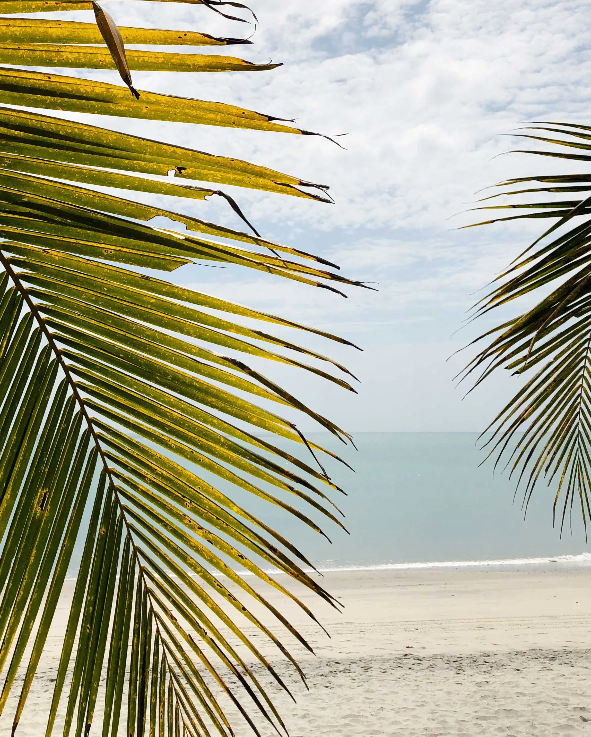 Swell Guide to Panama. Playa Blanca. Photo by Lesley Robb.