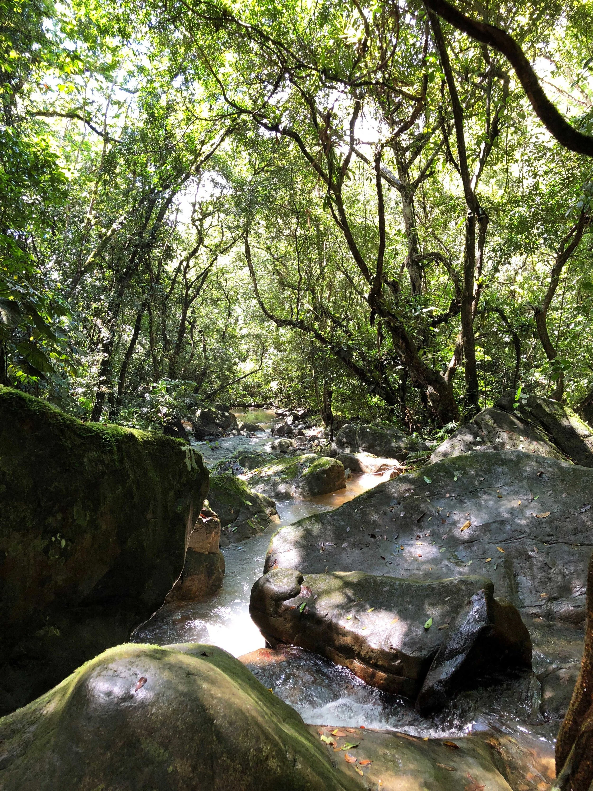 Swell Guide to Panama. Waterfall in El Valle de Anton area. Photo by Lesley Robb.