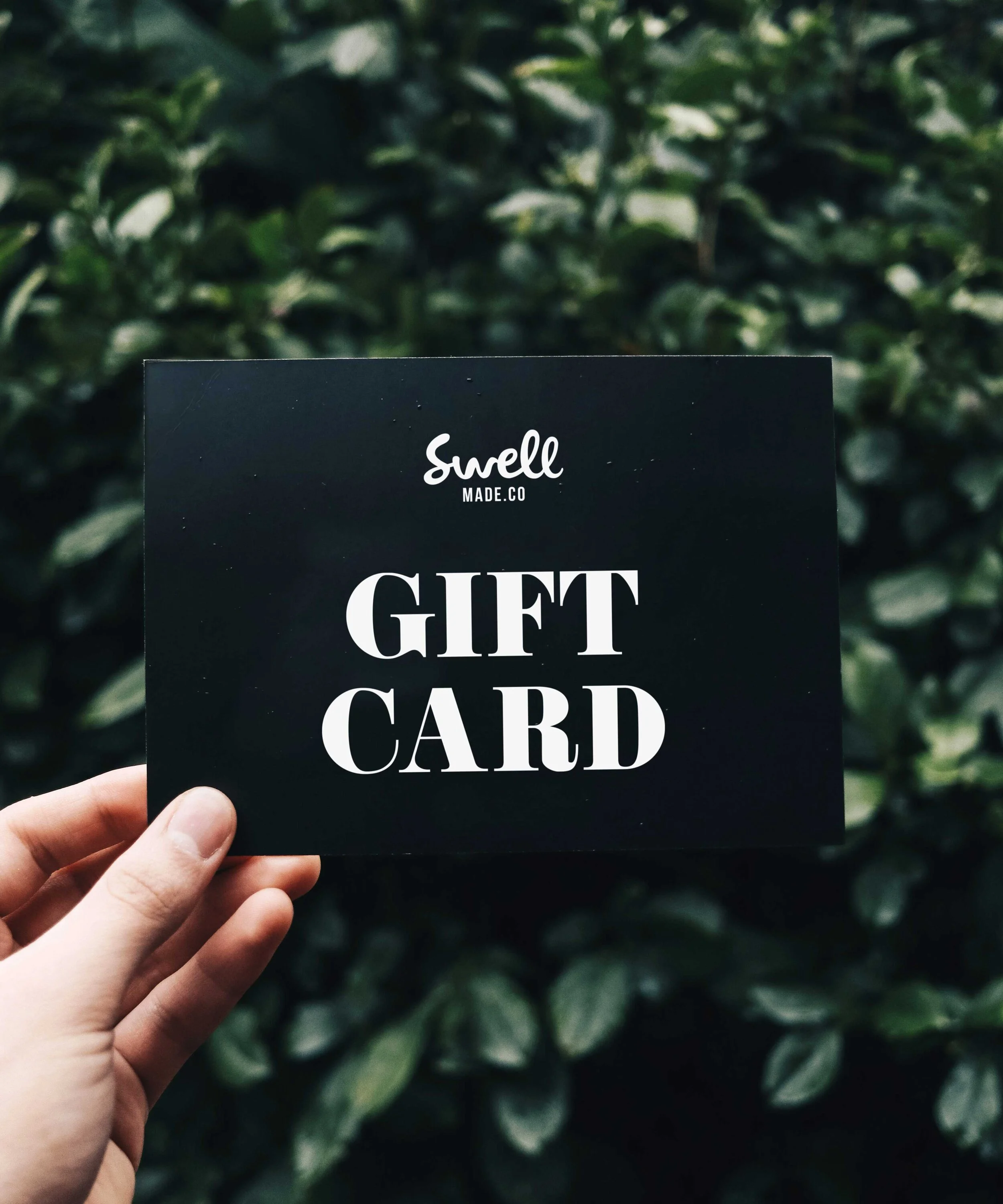 manuel-cosentino-swellmadeco-gift-card.jpg