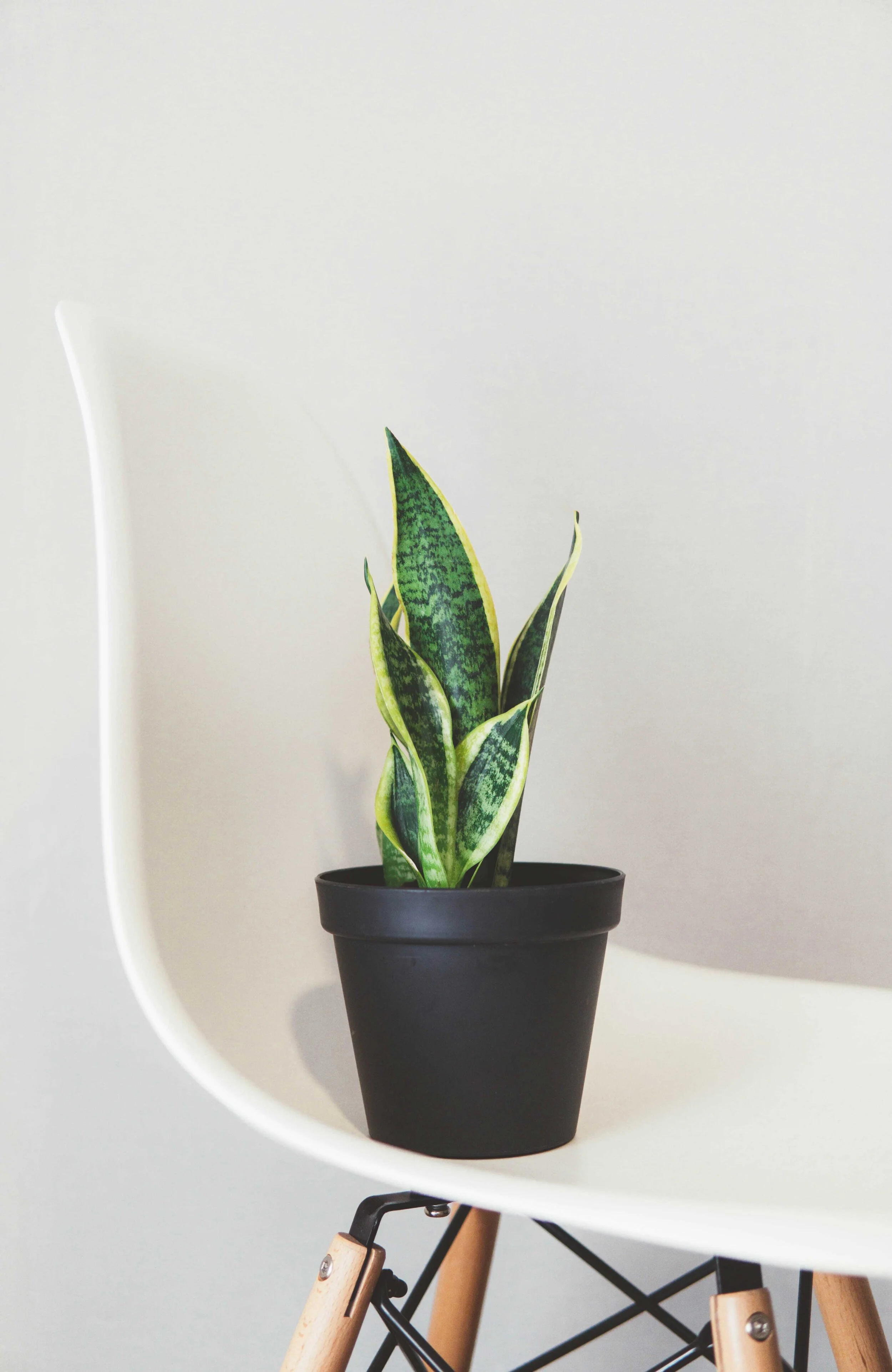 Photo by Nikita Kachanovsky via Unsplash.