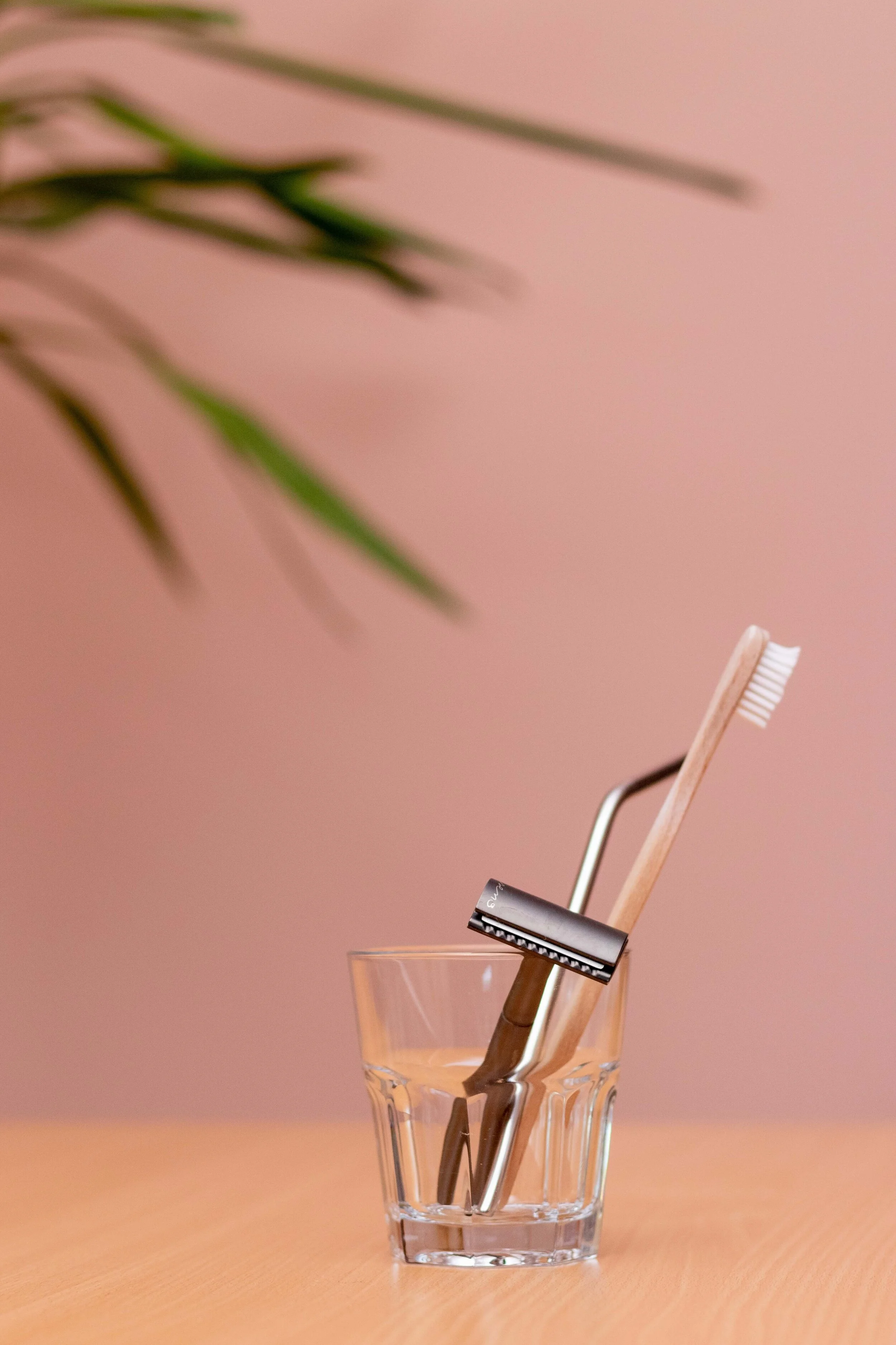 Simple Steps to Go Plastic Free at Home by Cassandra McD. for Swell Made Co. Photo by Oana Cristina.