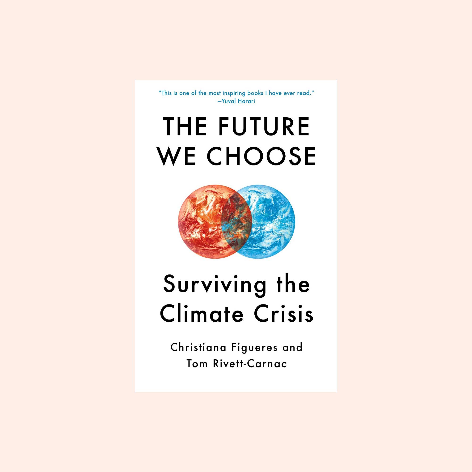 swell-made-co-climate-books6.jpg