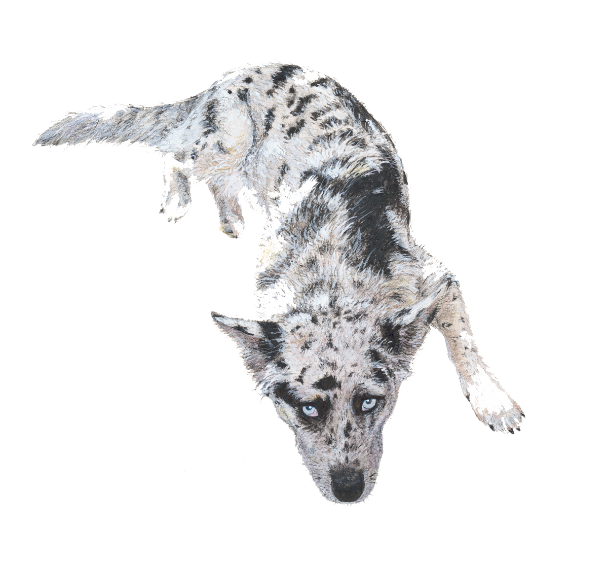 1Xango.png