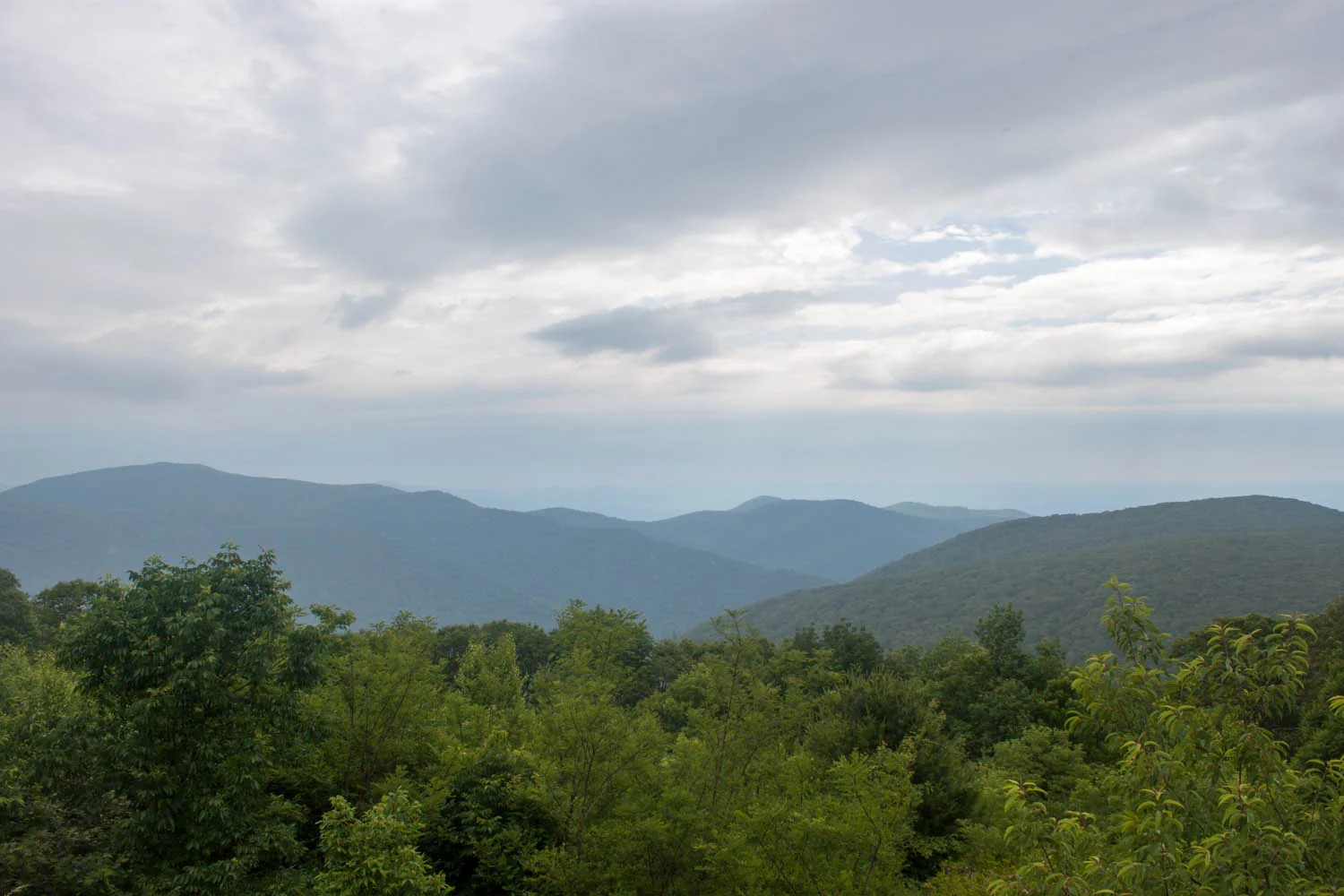 IMG_4803.jpg