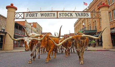 Youth Trip to the Fort Worth Stockyards