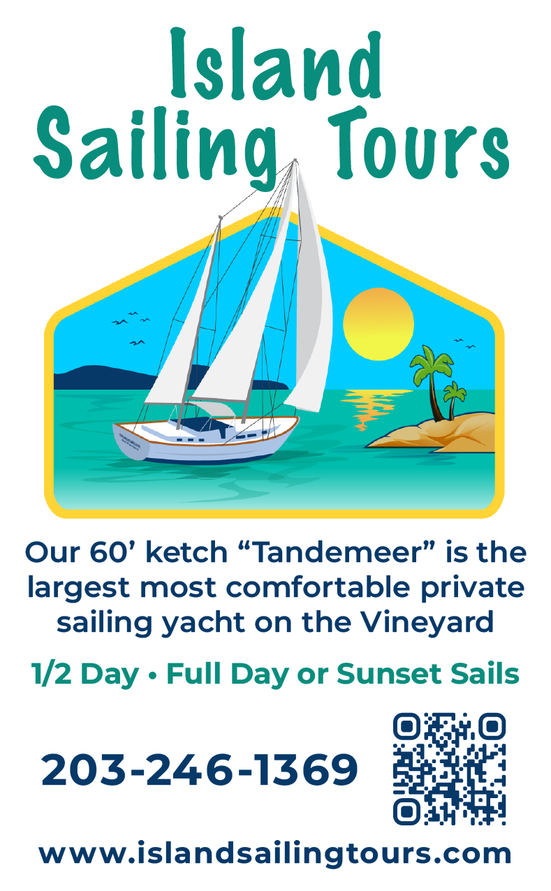 IST Advert 2-23-vert-QR-v5.png