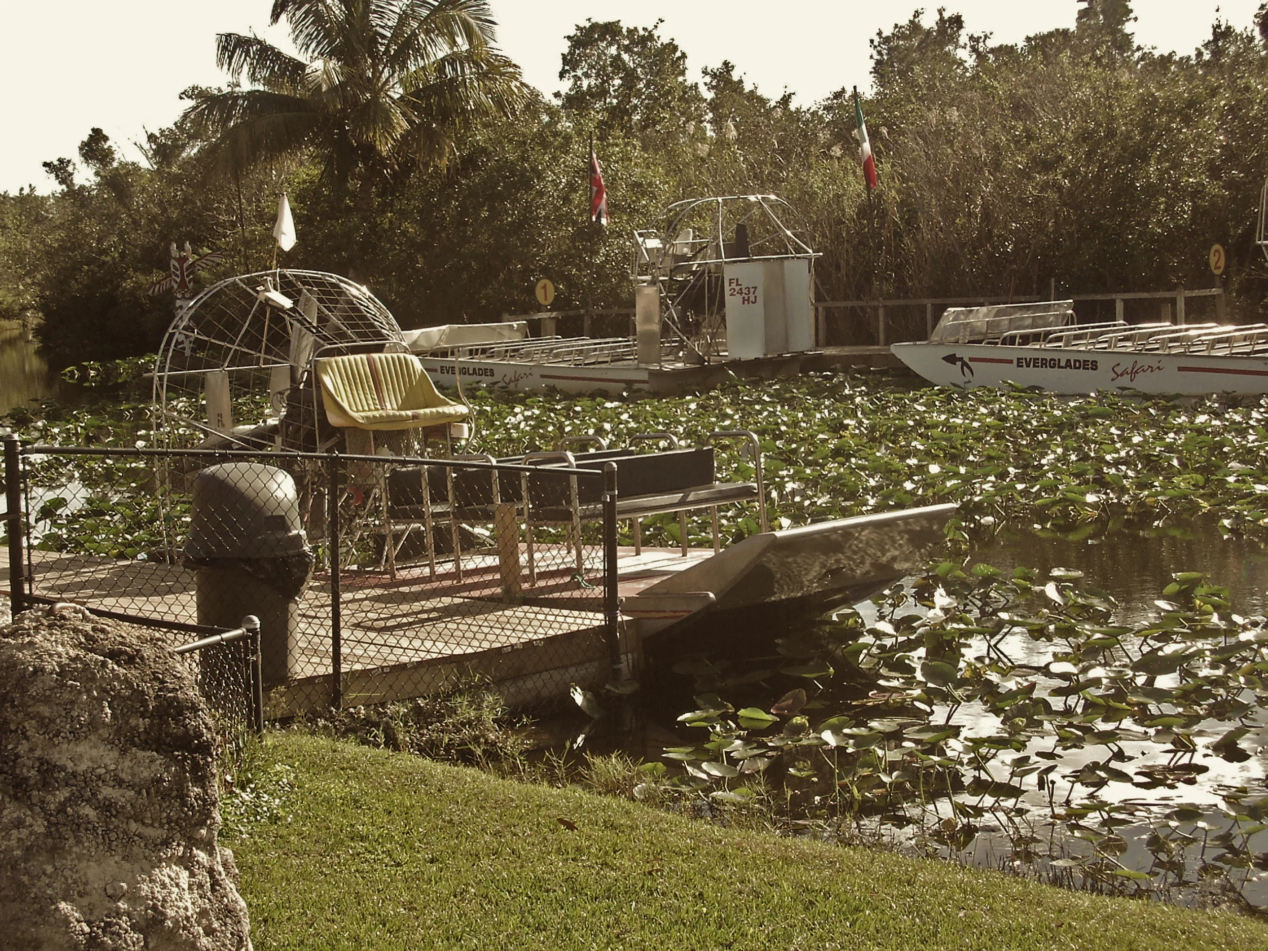 Airboat Rides in den Everglades