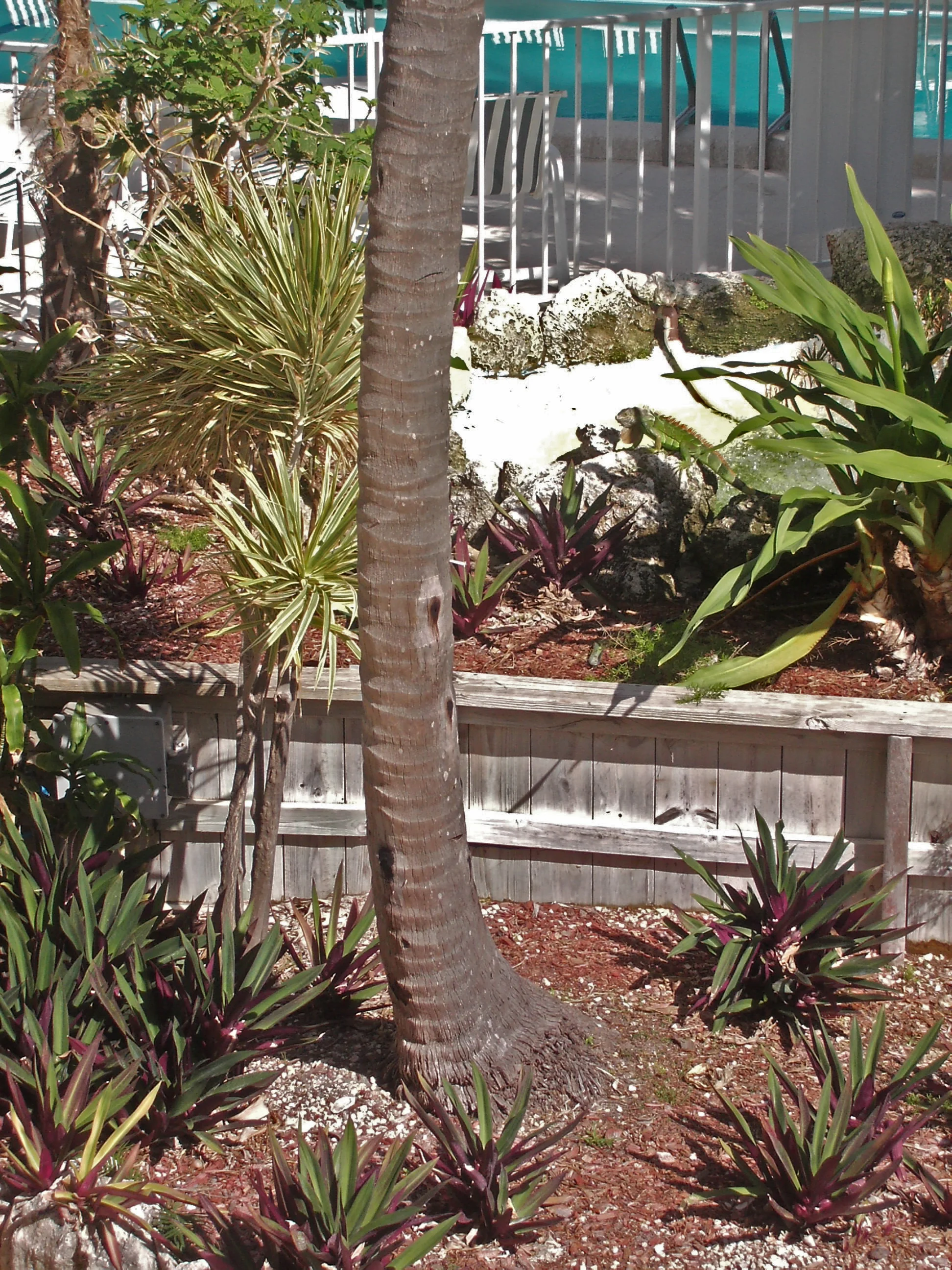 Florida 90.jpg