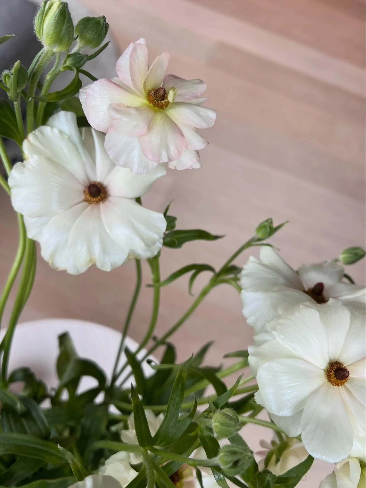 Tusen takk for en fantastisk start p&aring; helga til alle dere fine folka som var innom kontoret p&aring; fredag! Og takk for nydelige anemoner @annemeranda_photo 🥰
