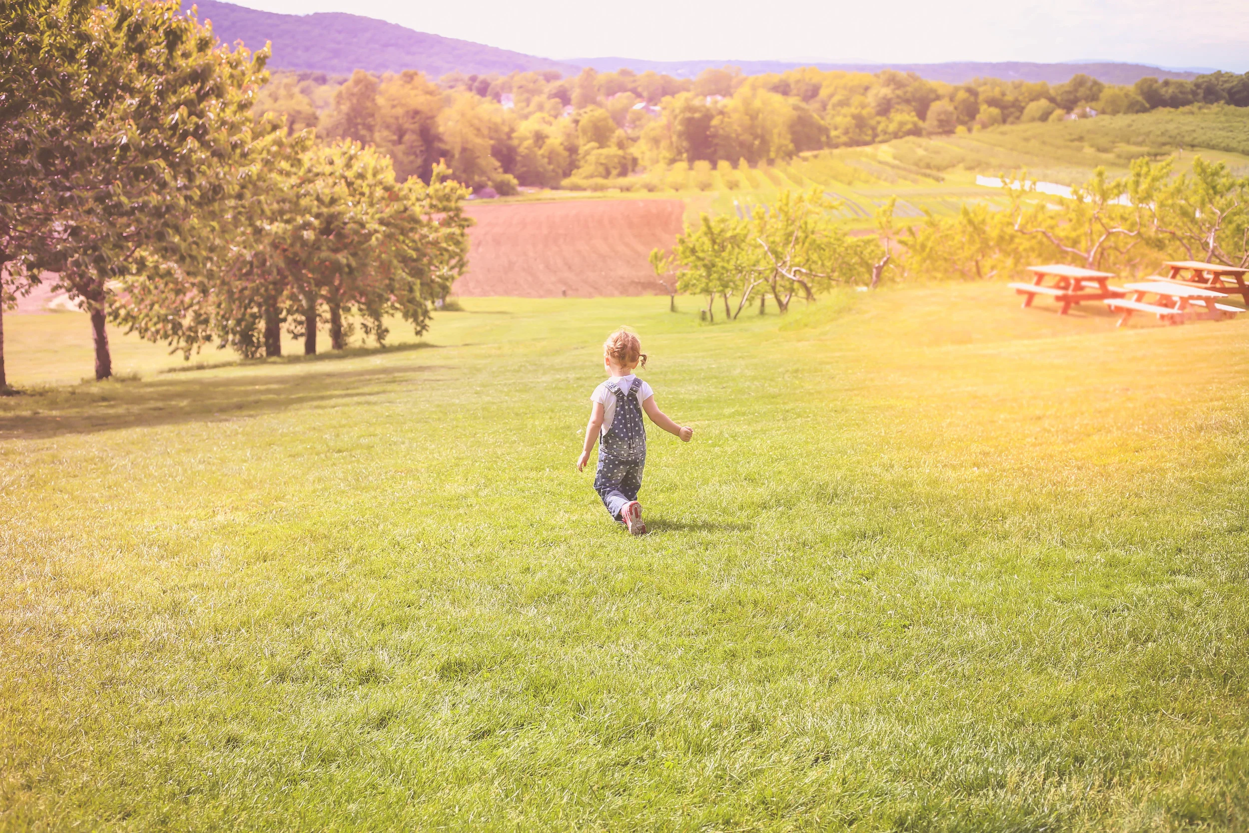 The fields are alive with the sound of ...my screaming running away child. 