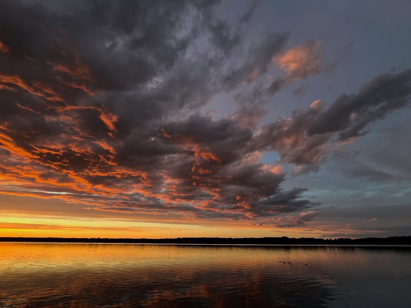 Earth, air, fire, and water.