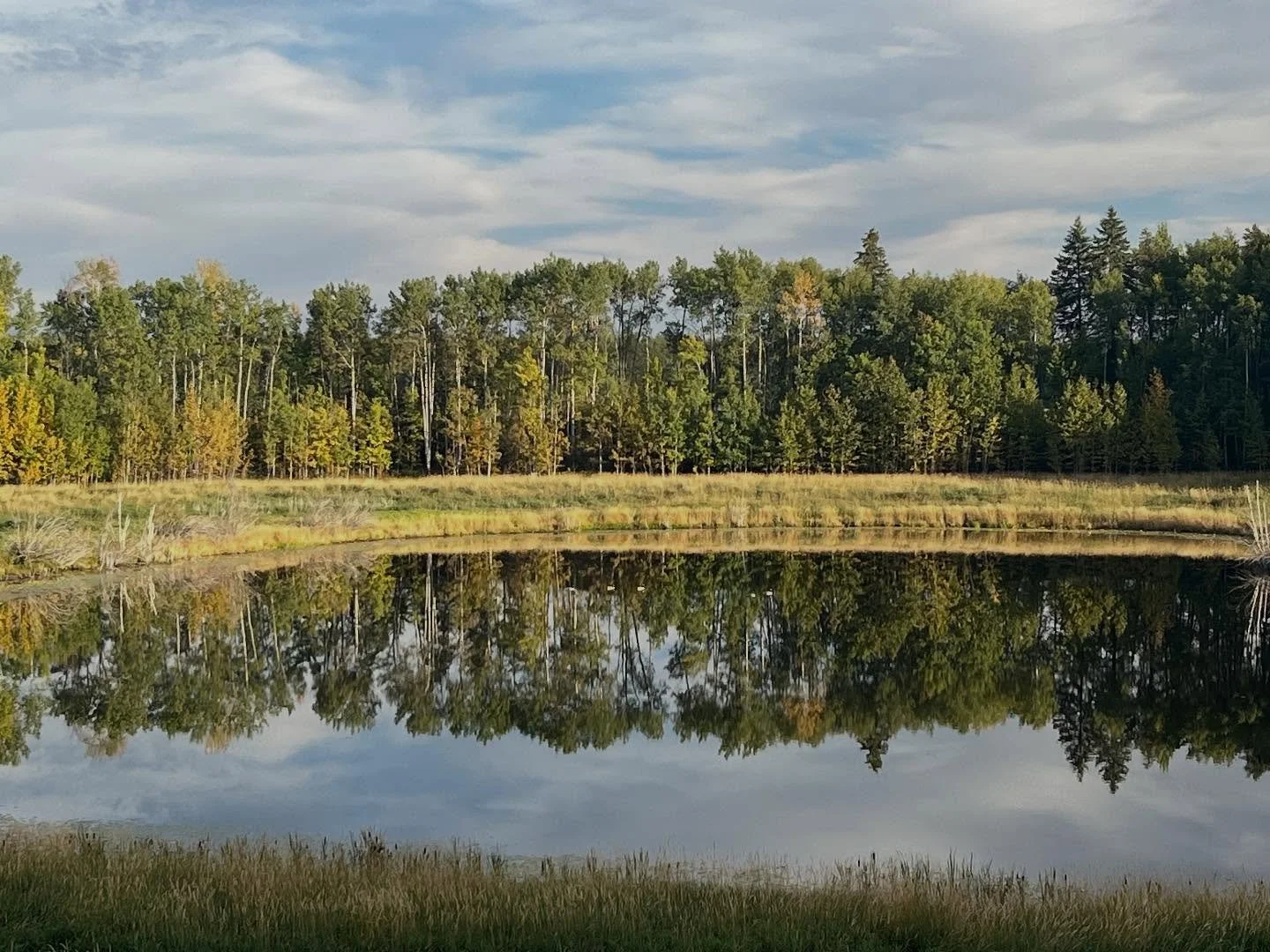 Life is good in my own backyard.