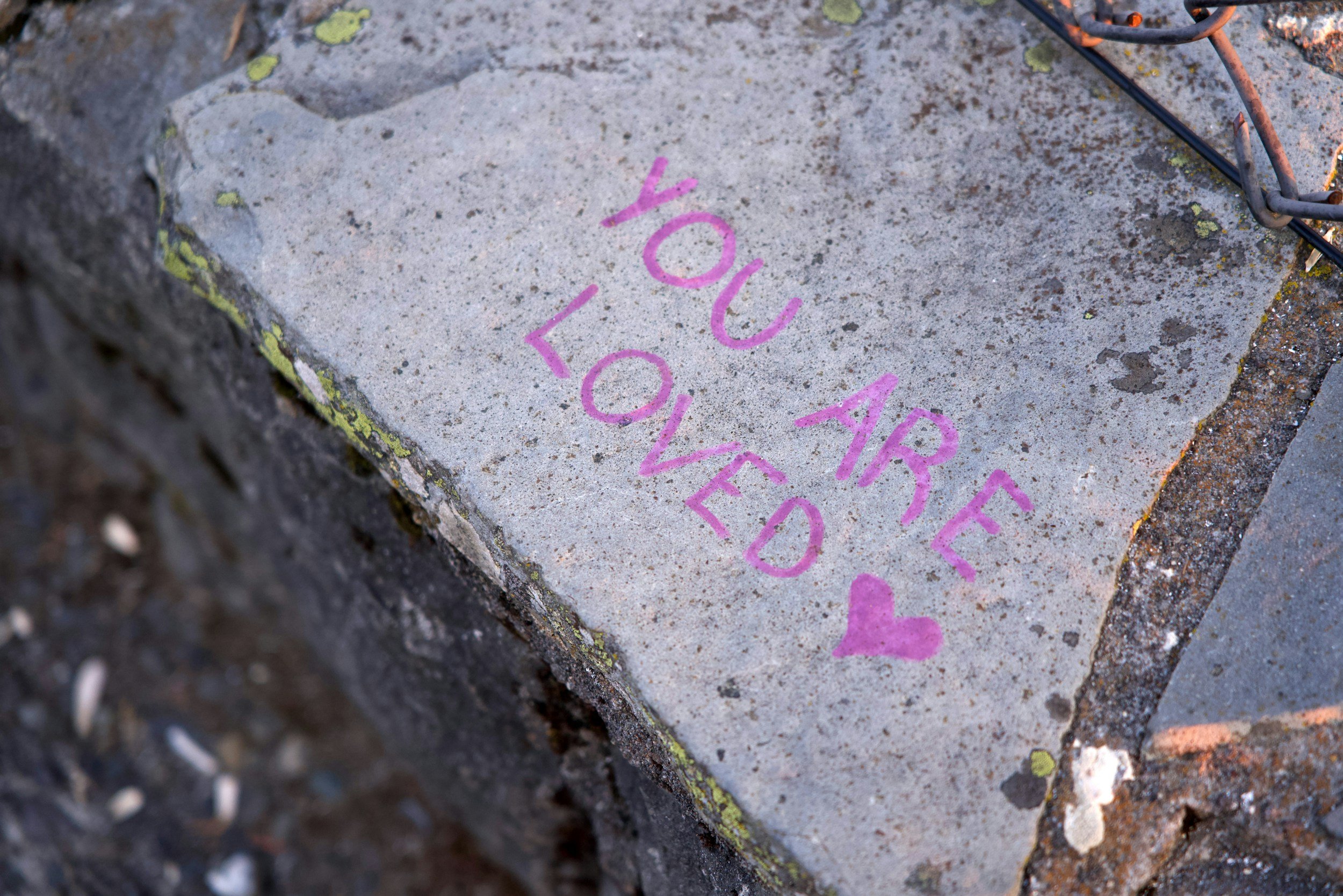 A concrete surface with pink spray-painted text that appears to be partly visible, next to a rusty metal structure.
