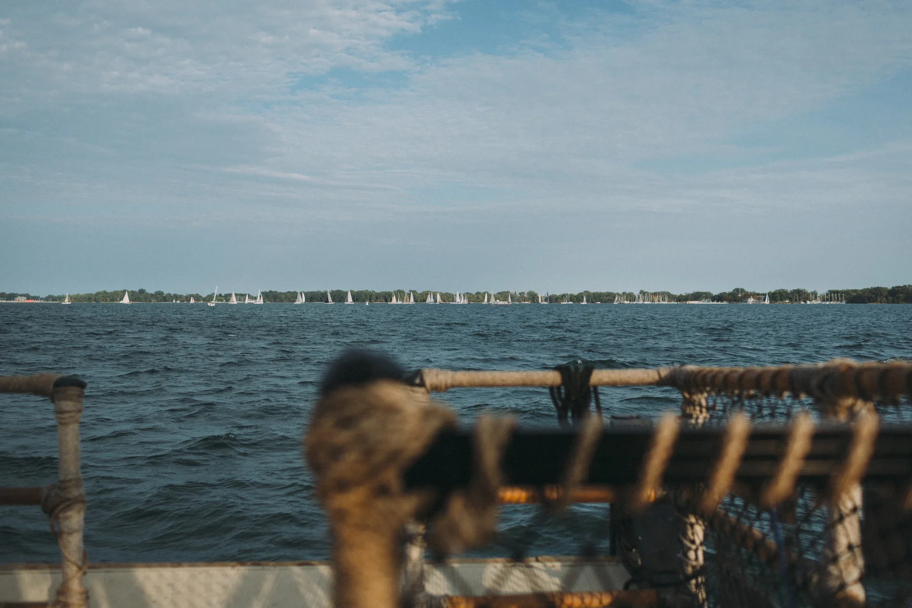 Toronto-Island-engagement-session-and-CNE-Laurie-and-Craig-by-Sam-Wong-of-Artanis-Collective_006.jpg