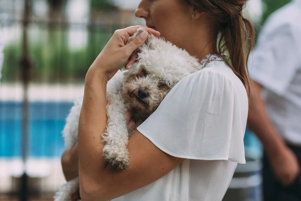 AC_20180714_062_blog.jpg