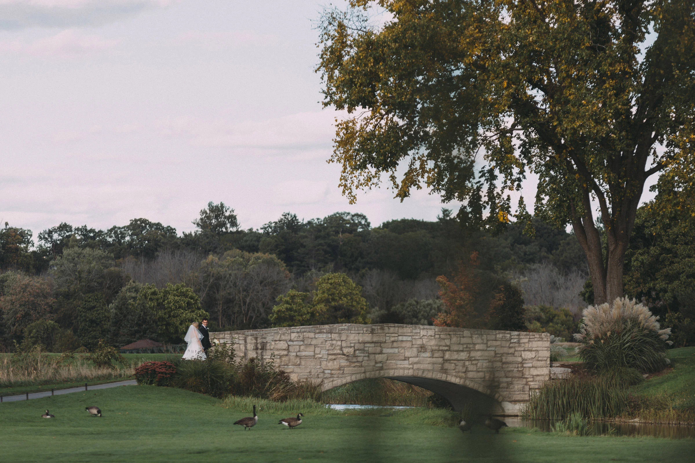 Mississaugua-Golf-and-Country-Club-wedding-photography-Emma-and-Nigel-by-Sam-Wong-of-Visual-Cravings_35.jpg