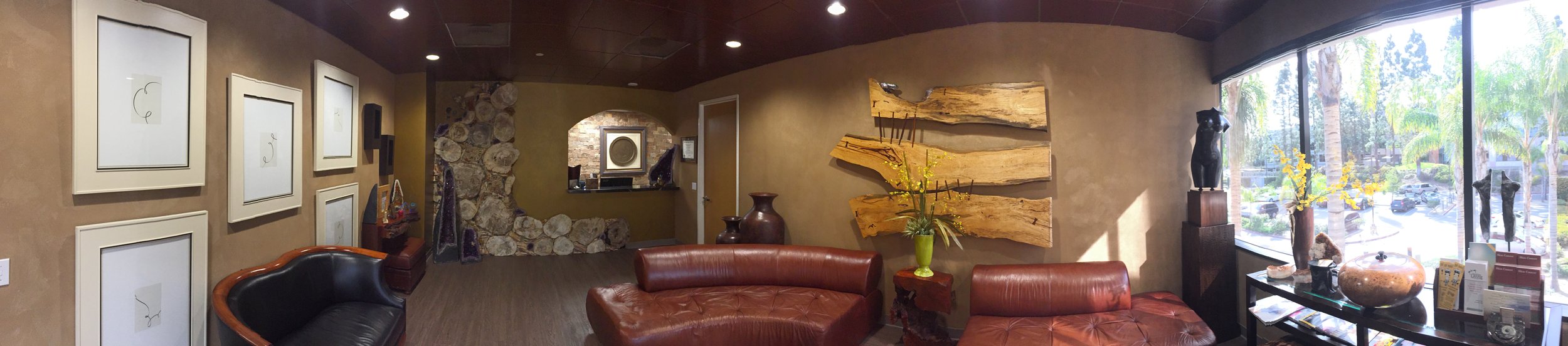 Dr. Mona Mofid's Stunning Office Waitroom