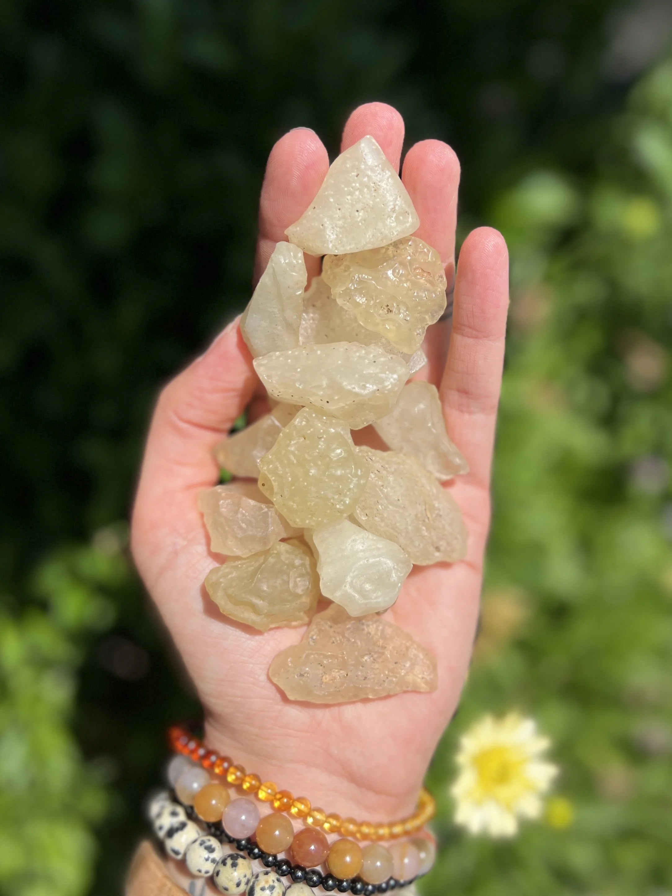 (Outdoor) Regulus Gateway: Activation of the Heart of Lion, aligning with energies of Egypt