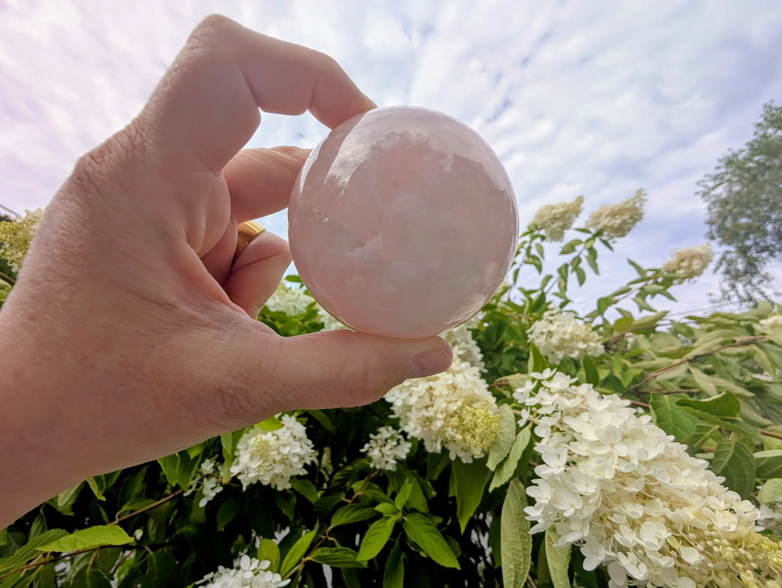 (Outdoors) Journey at the 9/9 Portal with Rose Quartz