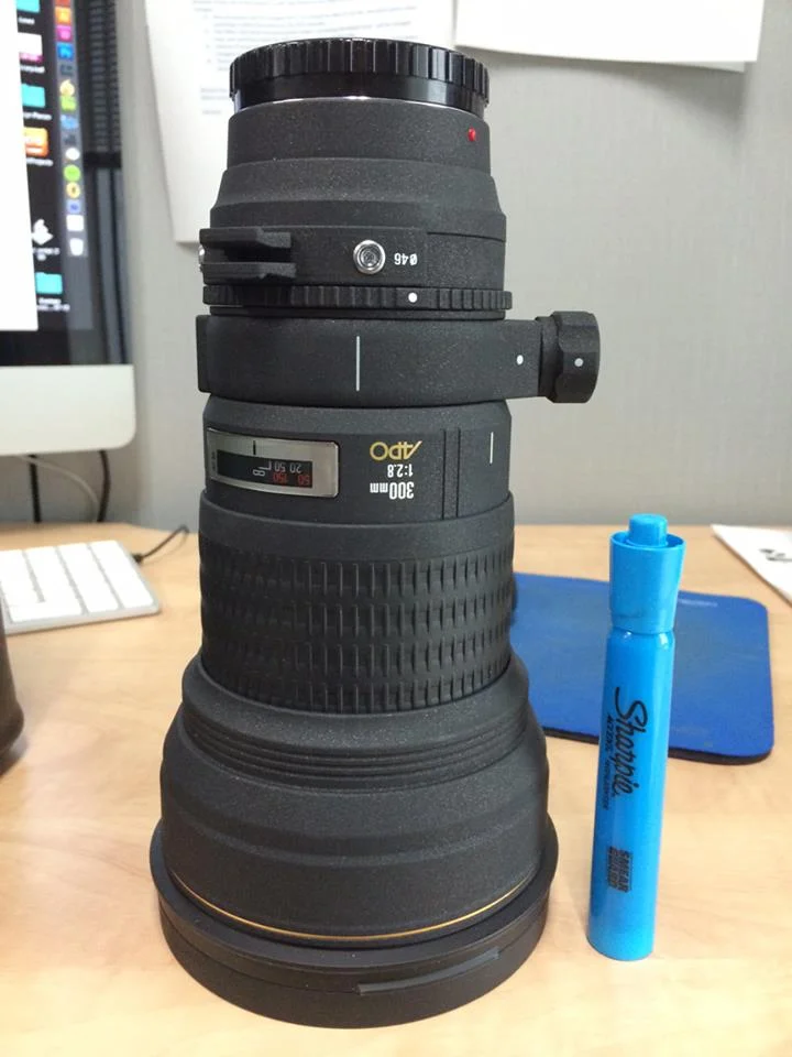 The newest piece of equipment - a 300mm f2.8, made by Sigma.