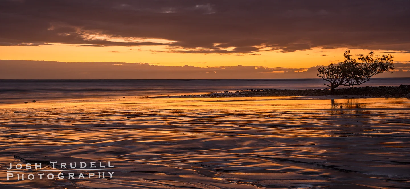 9. Now we're getting into the Australia pictures. First up is this sunrise over Cape Tribulation - a gorgeous, isolated beach north of Cairns. The most peaceful place I saw all year. 