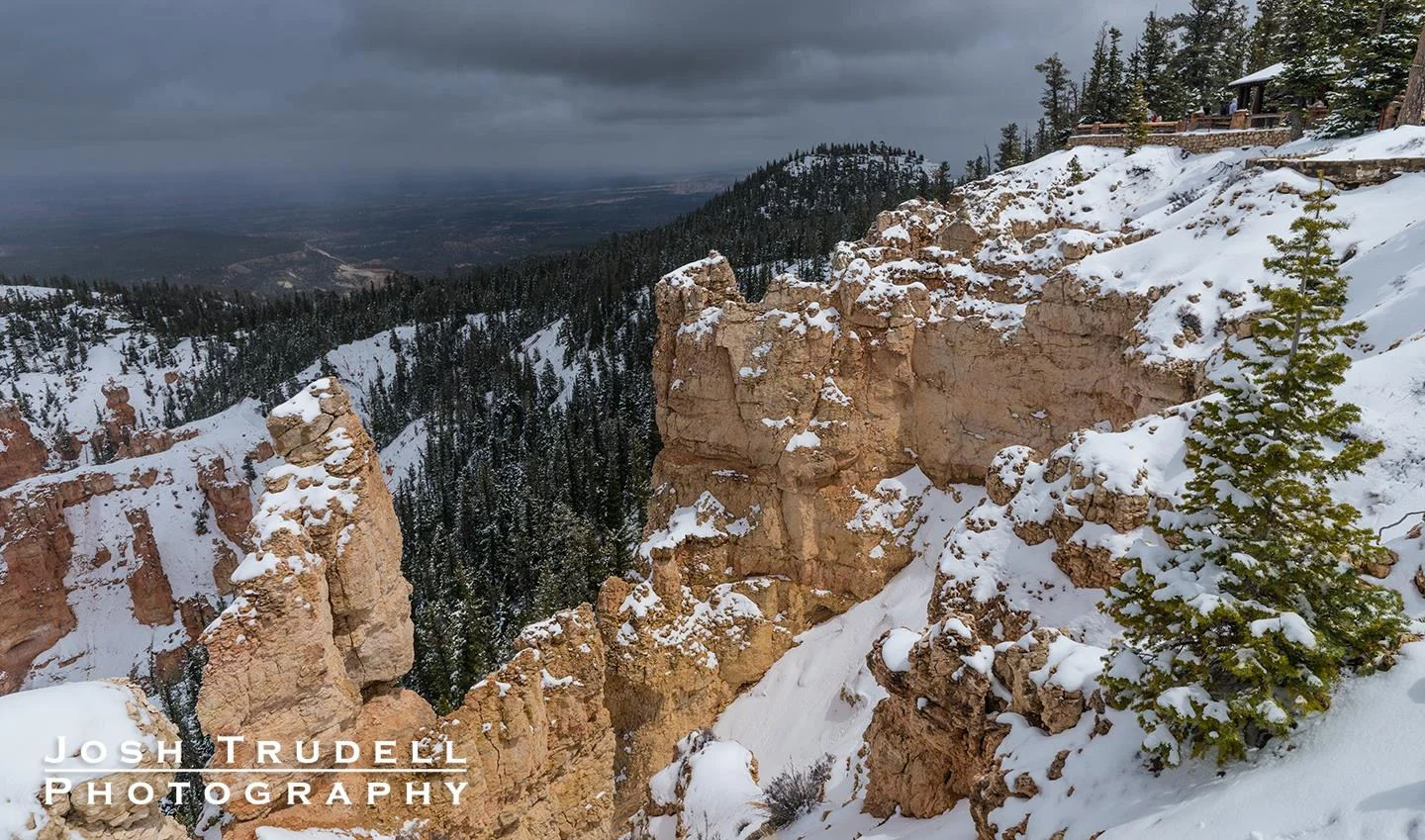 Bryce Canyon, near Rainbow Point. 