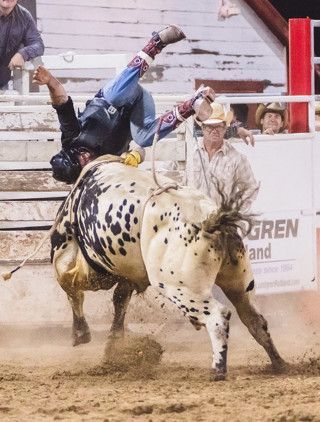 A rider gets thrown off a bull at a rodeo in Vermont. Photo by Josh Trudell.