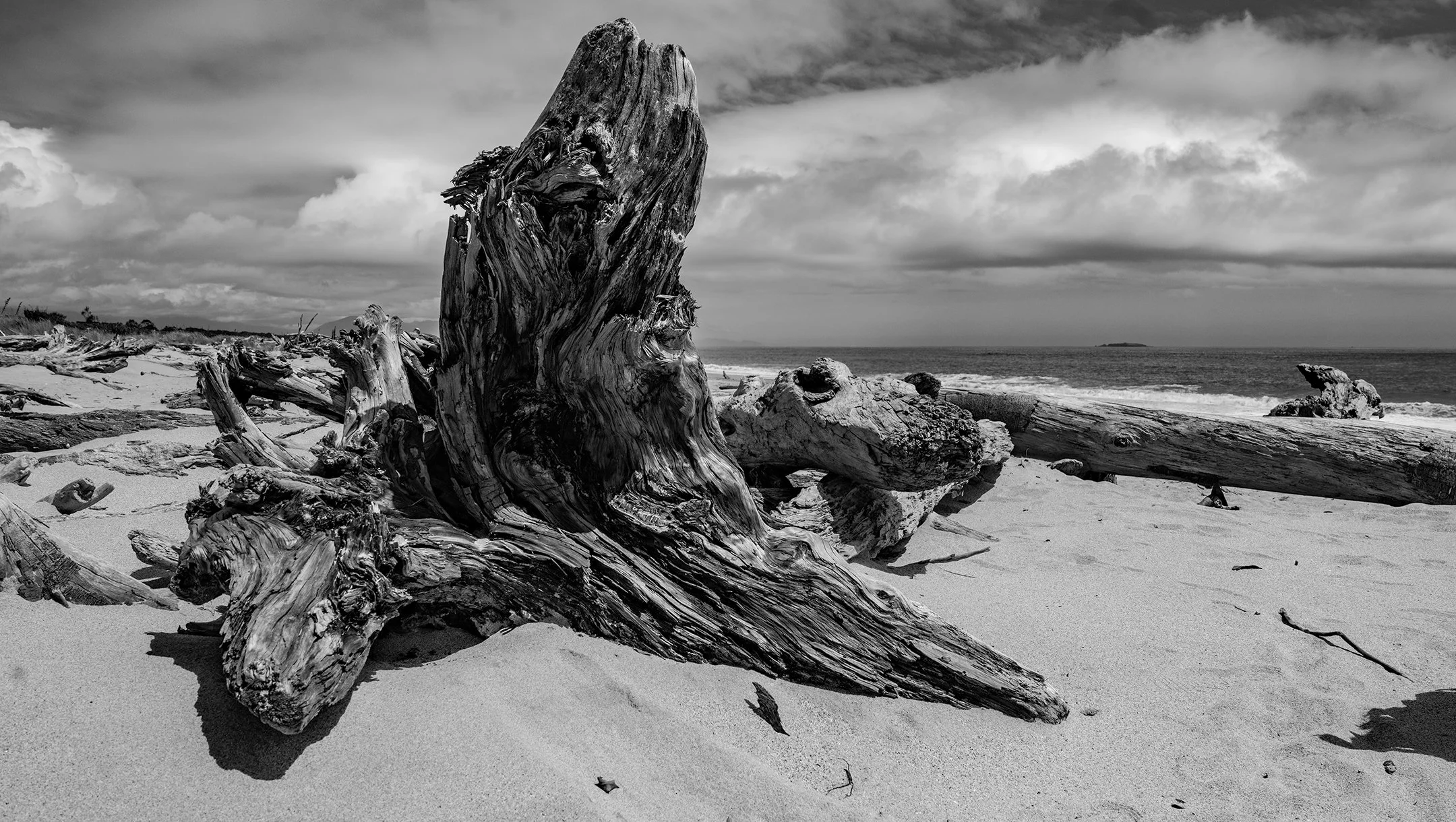 Beach, West Coast, New Zealand