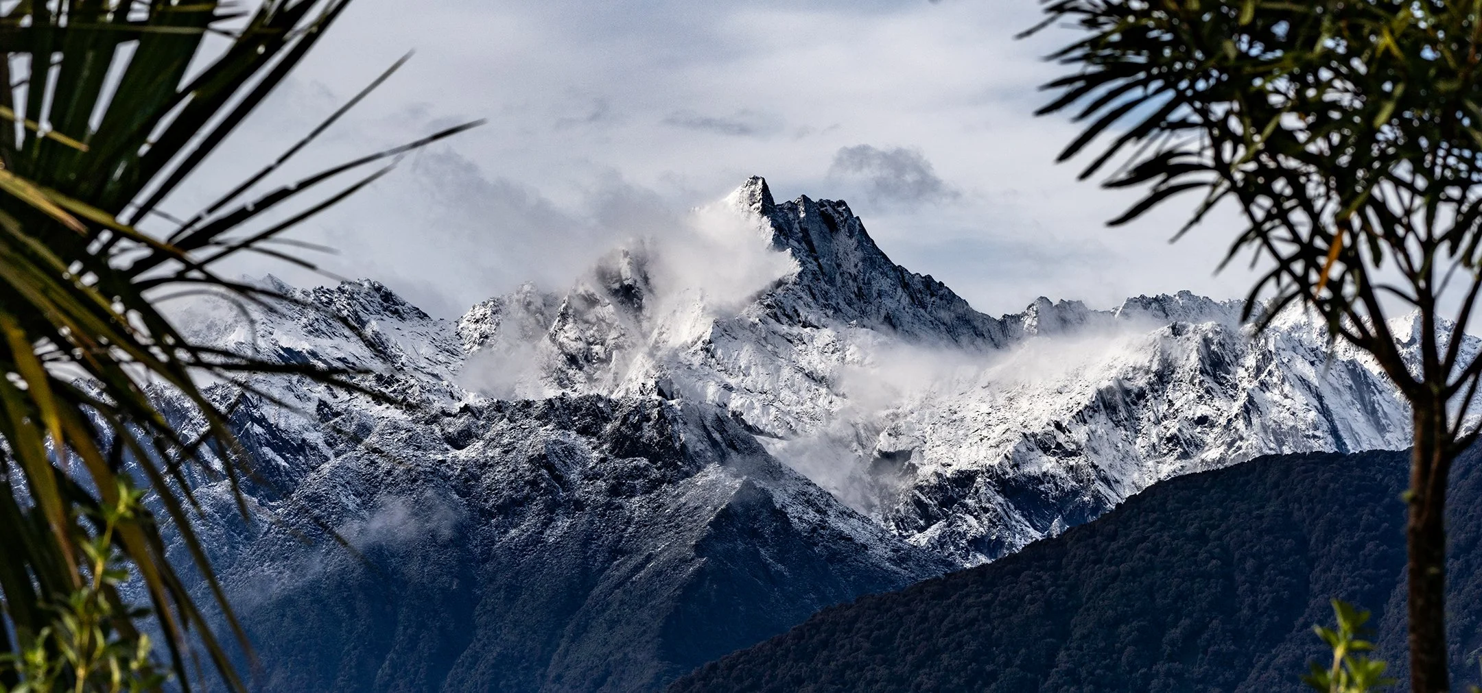 Westland National Park, New Zealand. Photo by Josh Trudell.