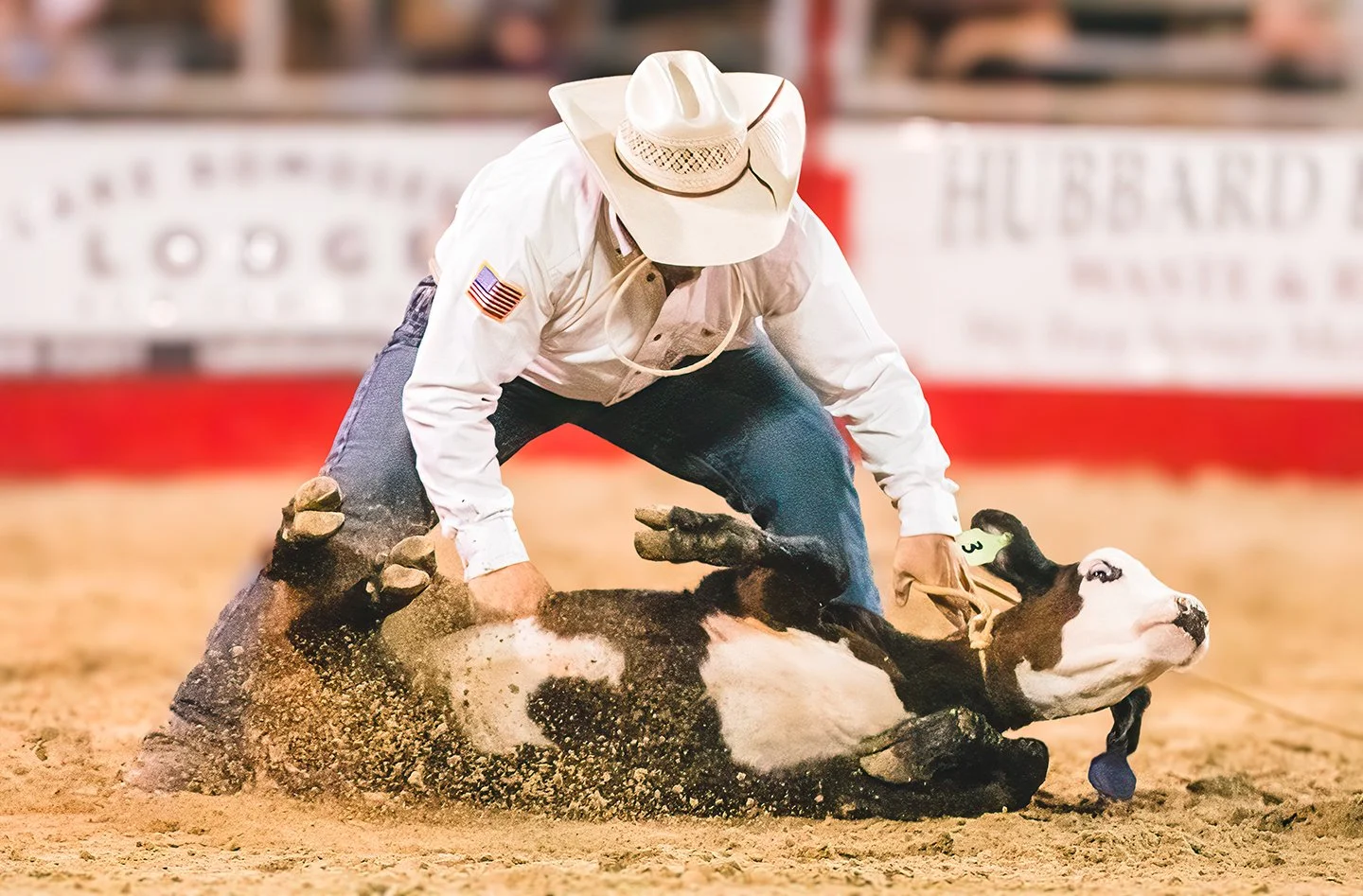 A cowboy ropes a calf at a rodeo in Vermont. Photo by Josh Trudell.