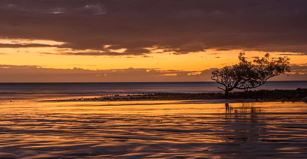 Cape Tribulation, Australia