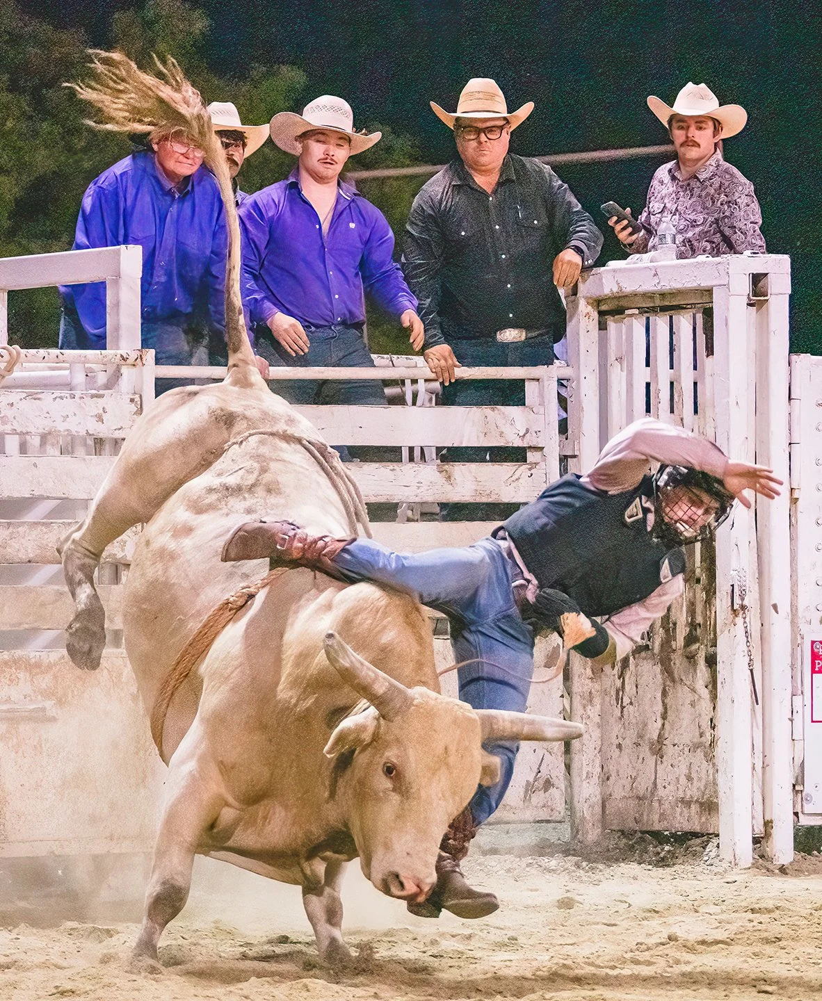 A rider gets thrown off a bull at a rodeo in Vermont. Photo by Josh Trudell.