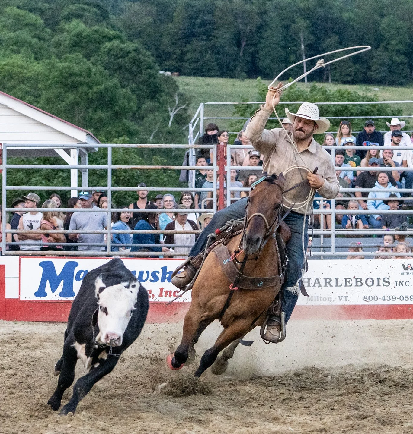 A cowboy chases a calf in a rodeo in Vermont. Photo by Josh Trudell