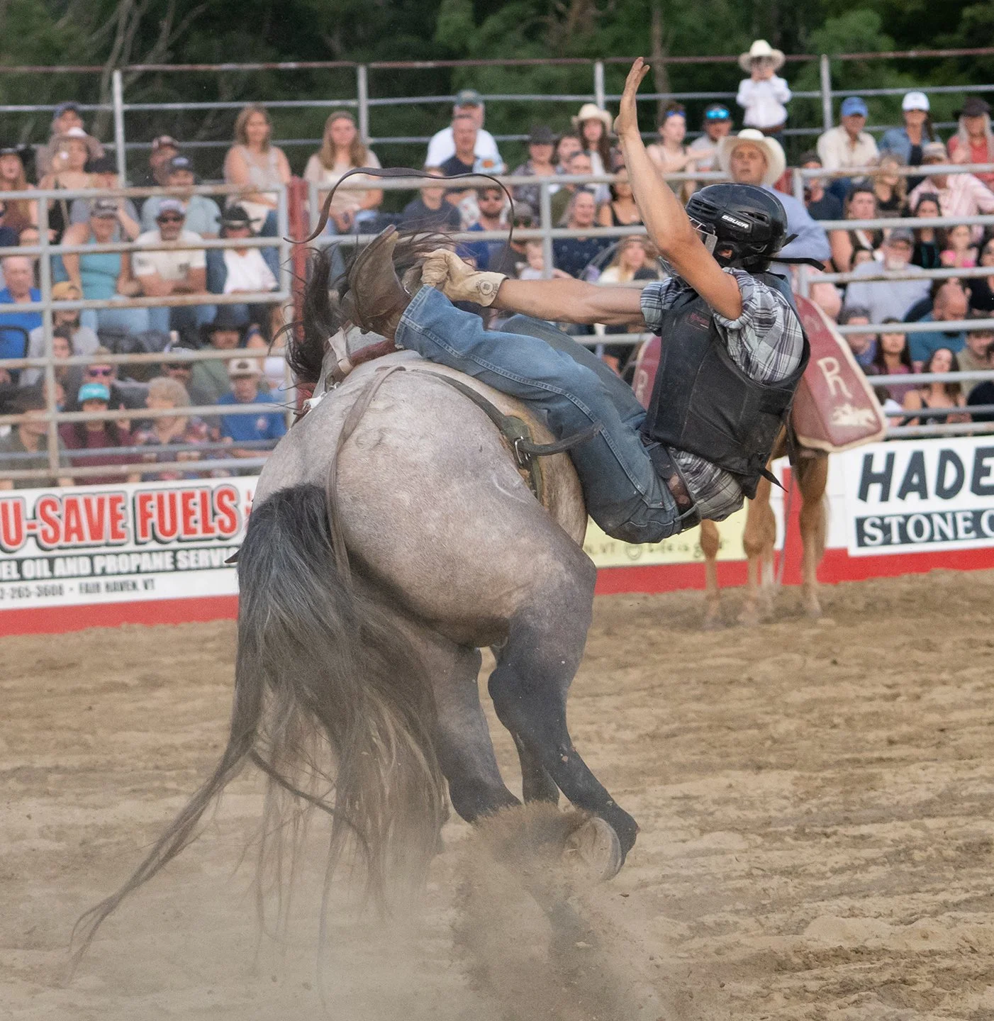 A rider is thrown from a bucking bronco at a rodeo in Vermont. Photo by Josh Trudell